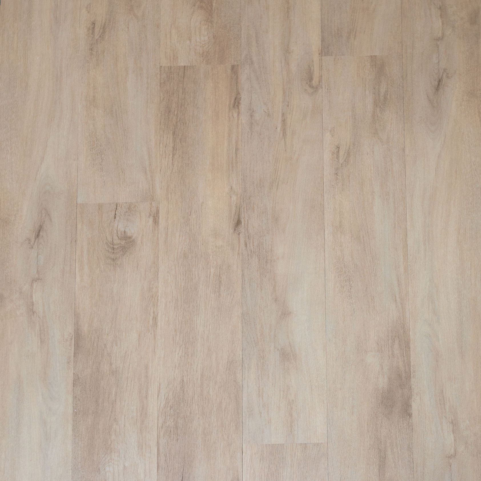 Chinook Avenue - Image 2