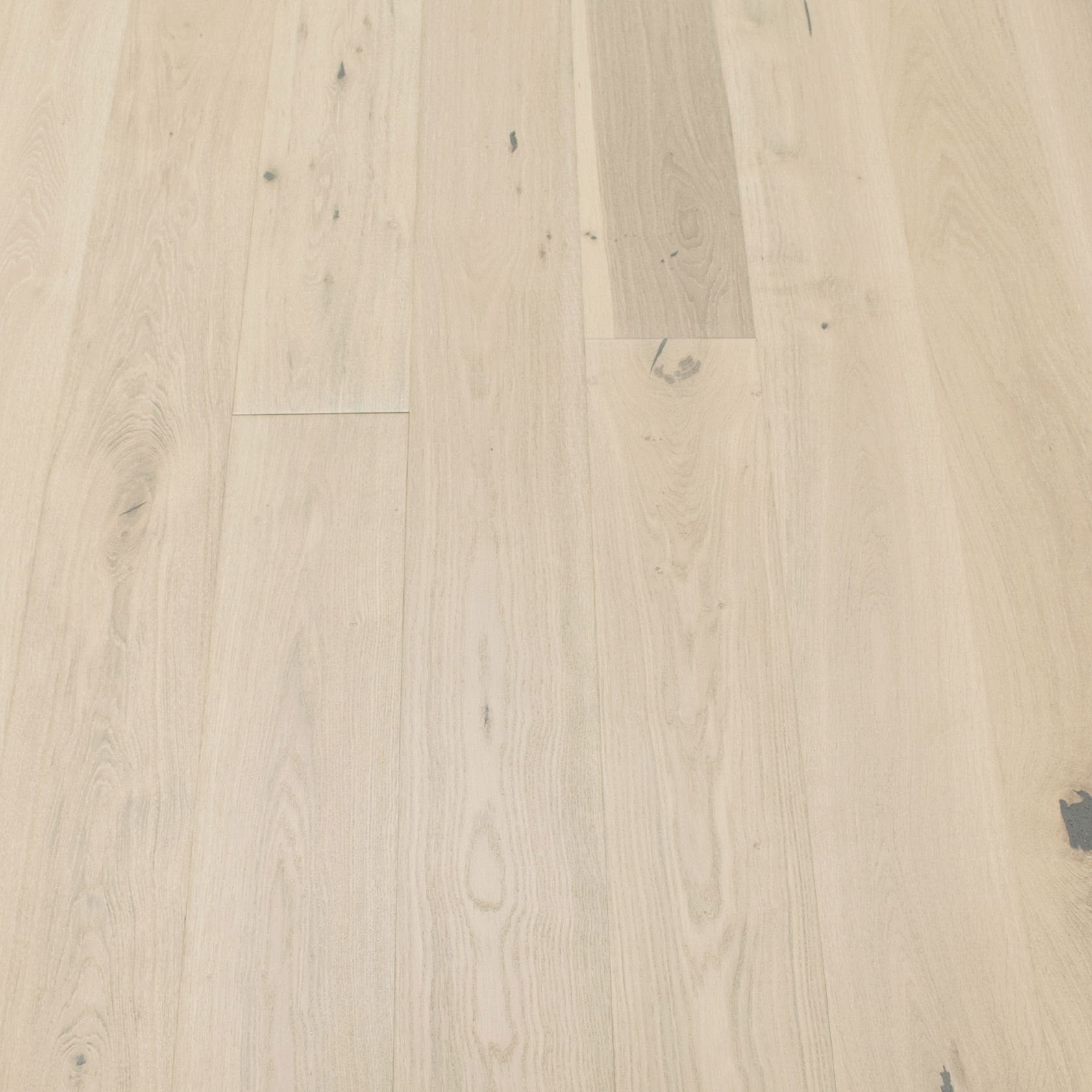 Winter Oak - Image 4