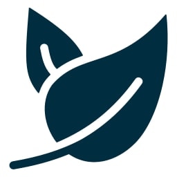 leaf icon