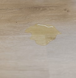 stainproof